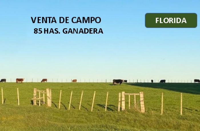 FLORIDA 85 HAS. GANADERA