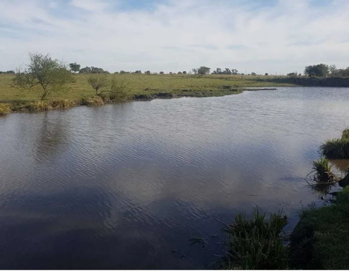 146 ha. Santa Luc&iacute;a - Canelones.
