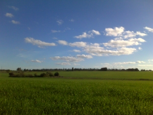 38 ha. FLORIDA.